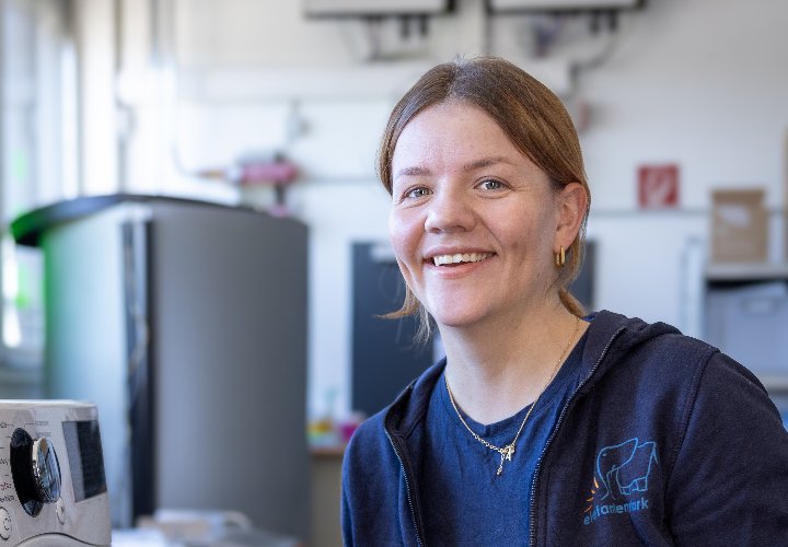 Job als Reinigungskraft bei elefantenstark