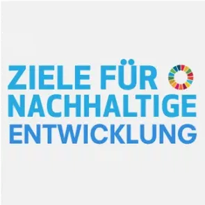 SDG Logo